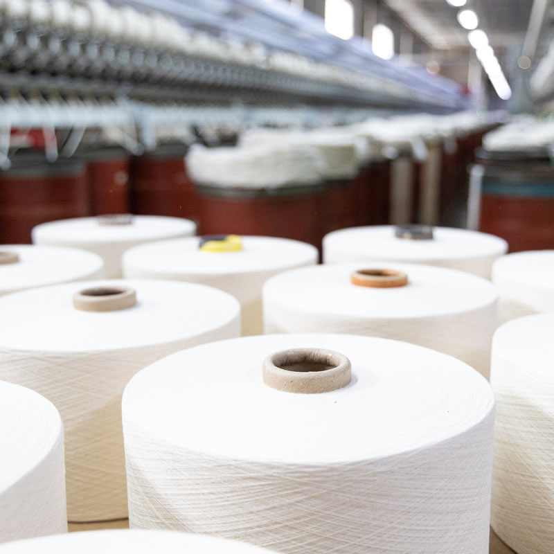 Irmãos Assini Fiação